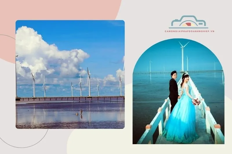 Cánh đồng Điện gió Bạc Liêu