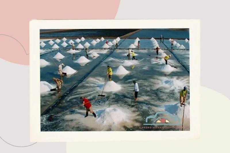 Cánh đồng muối Bạc Liêu