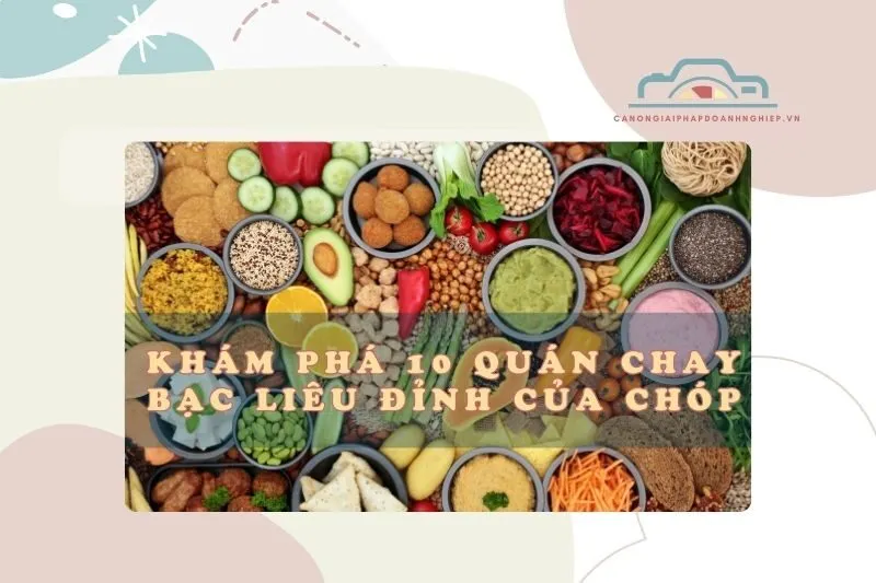 Khám Phá 10 Quán Chay Bạc Liêu Đỉnh Của Chóp, Giá Hạt Dẻ 2025