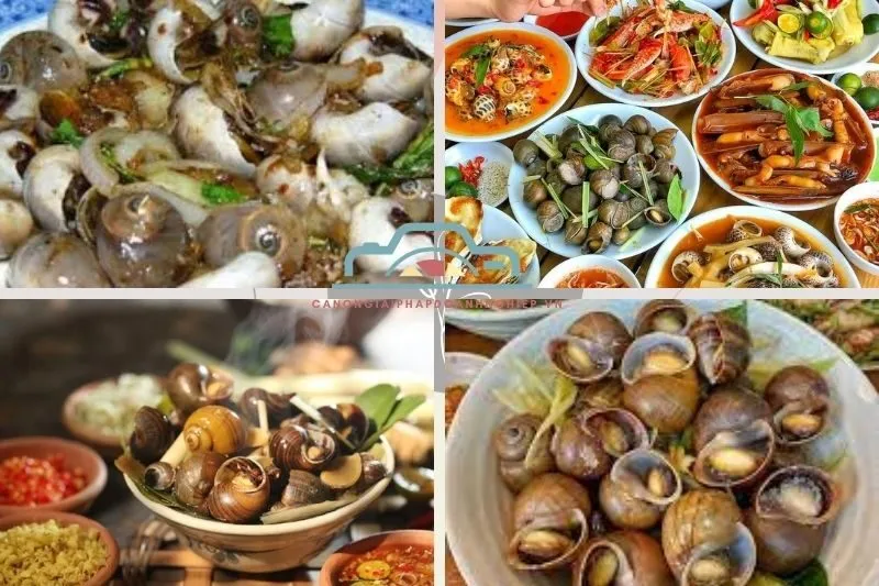 Quán Ốc Ngon Bạc Liêu: Top Địa Chỉ Ăn Vặt Hải Sản Hấp Dẫn