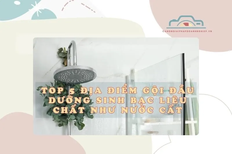 Top 5 Địa Điểm Gội Đầu Dưỡng Sinh Bạc Liêu Chất Như Nước Cất 2025