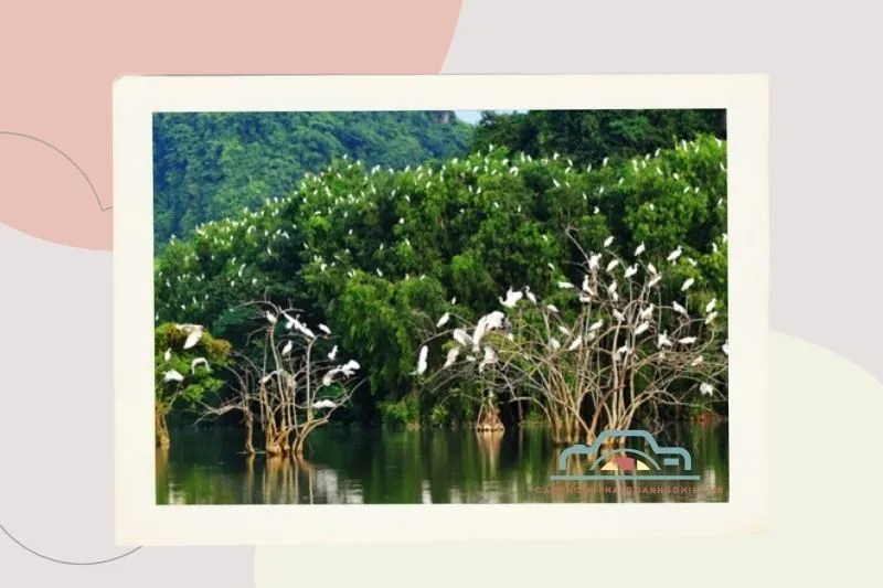 Vườn chim Bạc Liêu