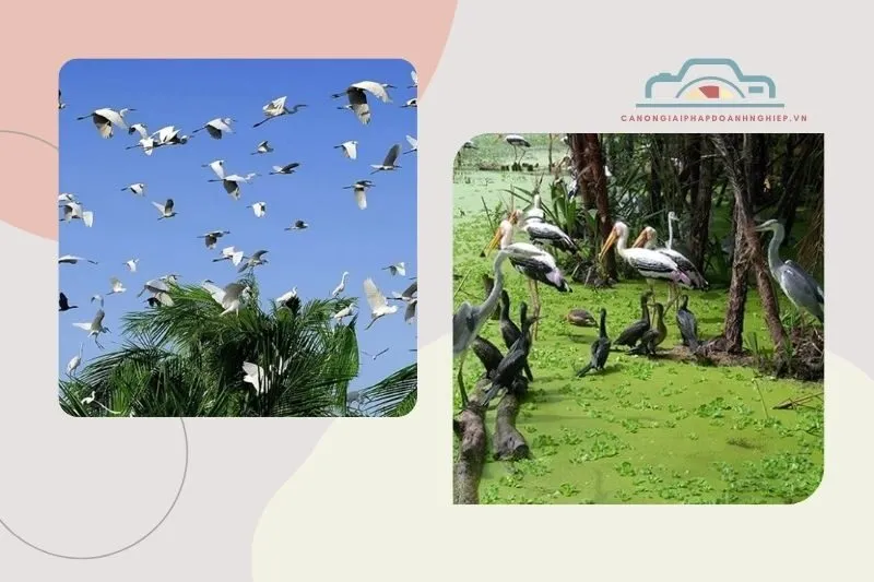 Vườn chim Bạc Liêu