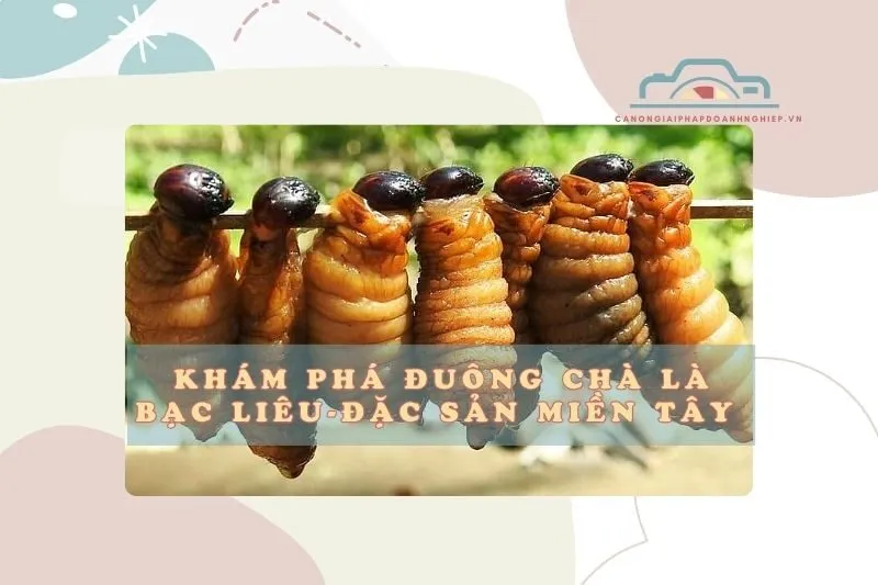 Khám Phá Đuông Chà Là Bạc Liêu – Đặc Sản Miền Tây Độc Đáo