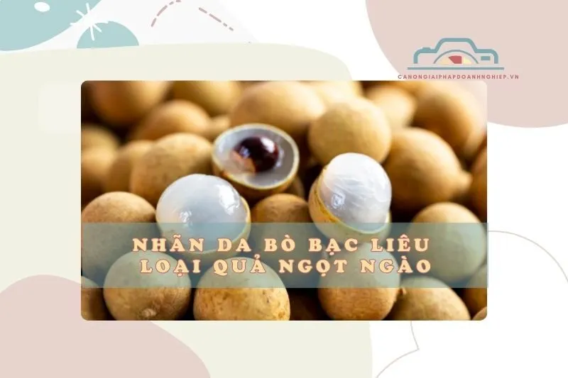 Nhãn da bò Bạc Liêu – Loại quả ngọt ngào, không thể bỏ lỡ