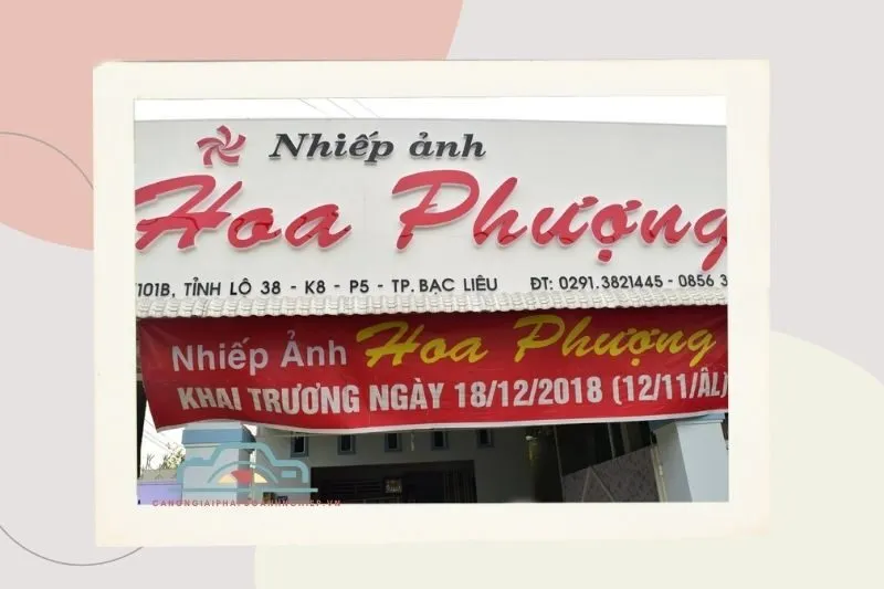 Studio Chụp Ảnh Hoa Phượng