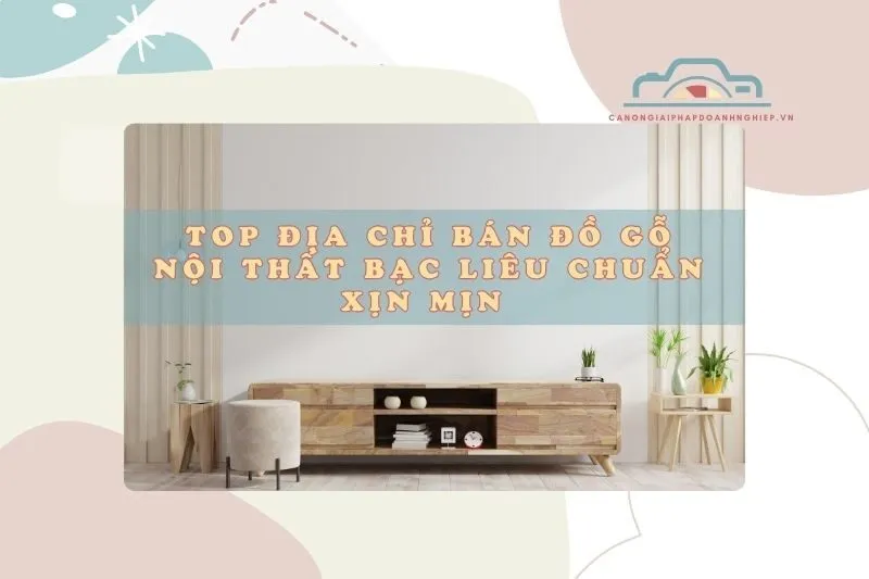 Top Địa Chỉ Bán Đồ Gỗ Nội Thất Bạc Liêu Chuẩn Xịn Mịn 2025