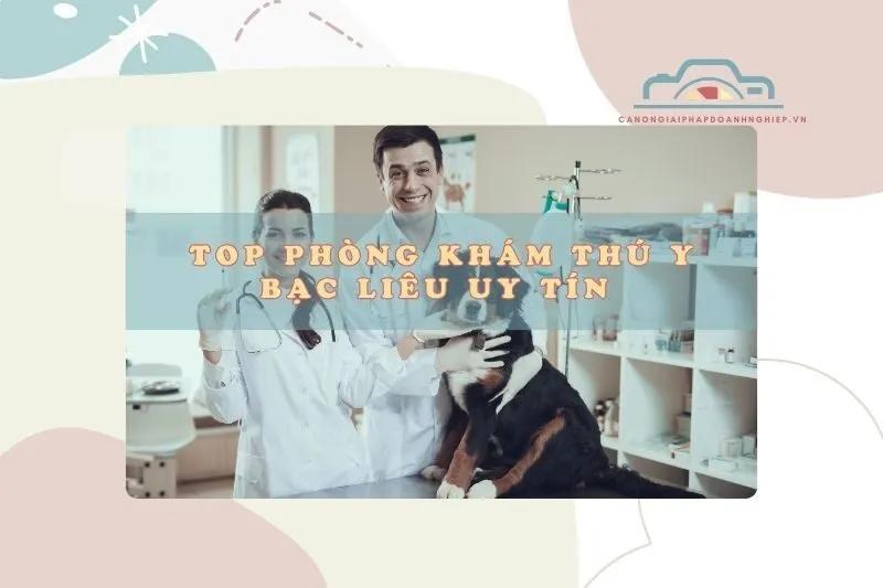 Top phòng khám thú y Bạc Liêu uy tín 2025