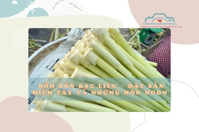 Bồn bồn Bạc Liêu – Đặc sản miền Tây và những món ngon độc đáo