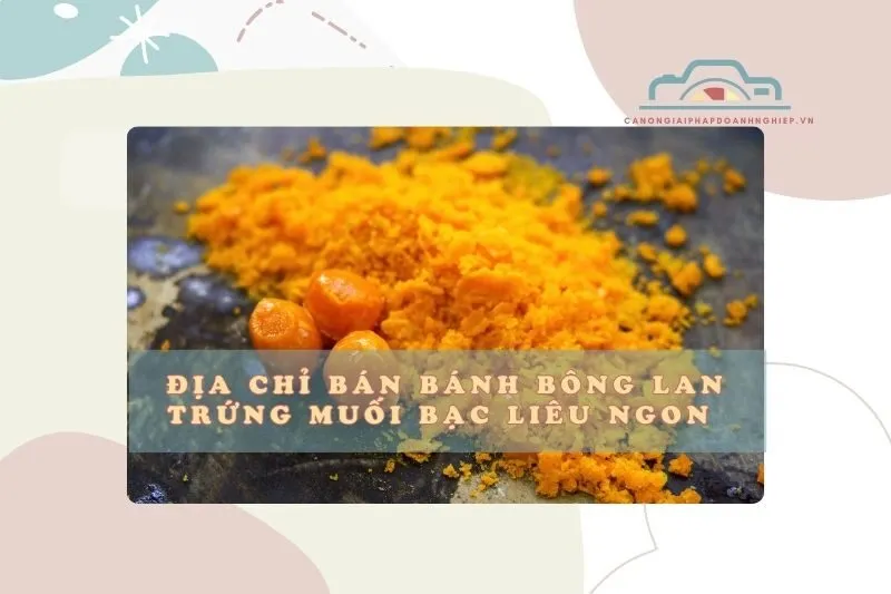 Địa chỉ bán bánh bông lan trứng muối Bạc Liêu ngon 2025